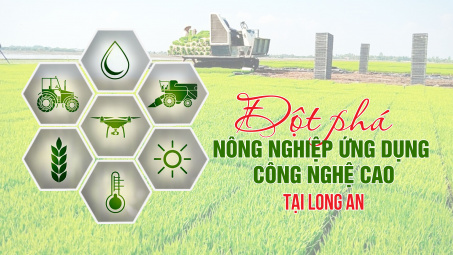 Đột phá Cwin.com link không chặn ứng dụng công nghệ cao tại Long An