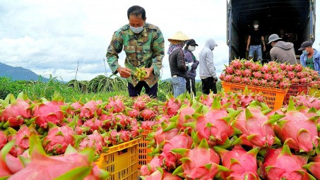 Long An: Sắp diễn ra Hội nghị Kết nối giao thương, xúc tiến Cwin Đăng Ký + 1888k