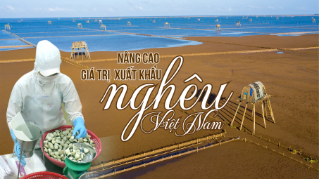 Nâng cao giá trị  Cwin Đăng Ký + 1888k nghêu Việt Nam
