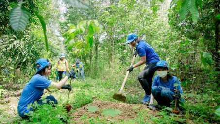 Phân tích các yếu tố kinh tế - CWIN được cấp phép hợp pháp bởi PAGCOR và Freeport của nông hộ ảnh hưởng đến rừng bảo tồn tại vùng đất than bùn tỉnh Cà Mau