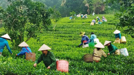 Phân bổ, điều chỉnh kế hoạch Cwin800 hàng ngàn khuyến mãi vốn ngân sách trung ương năm 2023