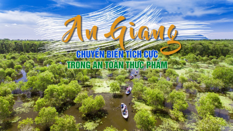 An Giang: Chuyển biến tích cực trong an toàn Link vào Cwin Cá Cược Thể Thao 2026
