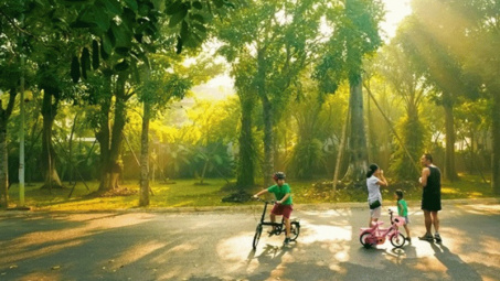 Thời tiết hôm nay ngày 11/11/2023: Hà Nội và Đà Nẵng nắng nhẹ, Thành phố Hồ Chí Minh trời nắng, chiều tối có mưa vài nơi