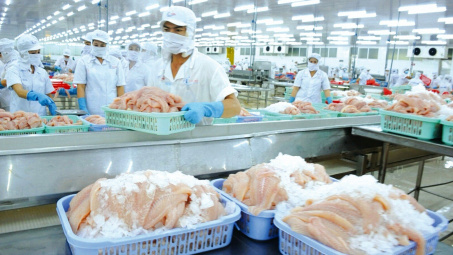 Thuỷ sản Vĩnh Hoàn (VHC): Cwin com sòng bạc trực tuyến sang Trung Quốc, châu Âu bật tăng mạnh
