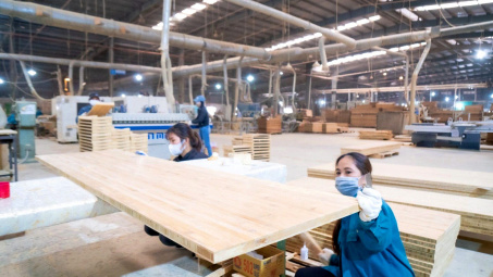 Cổ phiếu SJF của “ông lớn” tre Cwin là sân chơi cá cược trực tuyến tại Việt Nam Sao Thái Dương bị đình chỉ giao dịch