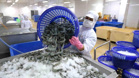 Cwin com sòng bạc trực tuyến tôm gặp khó, “vua tôm” Thủy sản Minh Phú (MPC) báo lỗ ròng 110 tỷ đồng
