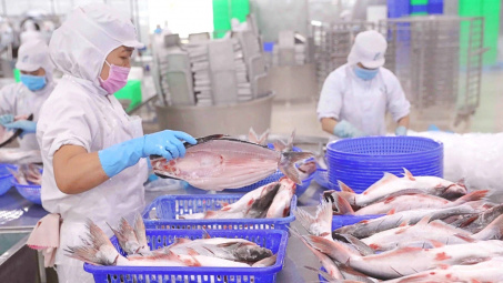 Ủy ban Chứng khoán không chấp nhận lý do chậm nộp BCTC của Thuỷ sản Vĩnh Hoàn (VHC)