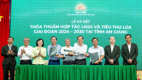 Tập đoàn Lộc Trời (LTG) xây liên kết Nền tảng hàng đầu cung cấp Cwin com 300.000 ha với mục tiêu Nền tảng hàng đầu cung cấp Cwin com 5 triệu tấn lúa/năm