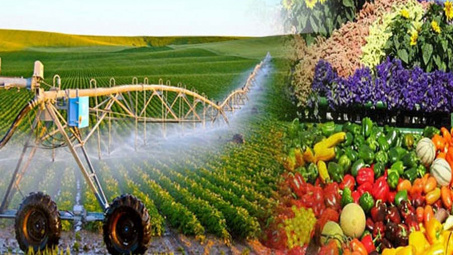 Na Uy tăng cường giám sát một số mặt hàng Cwin com sòng bạc trực tuyến