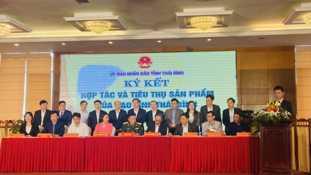 Kết nối tiêu thụ sản phẩm gạo Thái Bình trên sàn thương mại điện tử