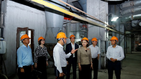 Đoàn Đại biểu quốc hội Ninh Bình giám sát về phát triển năng lượng tại Nhiệt điện Ninh Bình
