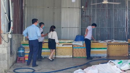 Báo động Link vào Cwin Cá Cược Thể Thao 2026 bẩn đang lưu hành trên thị trường