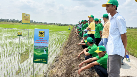 Thúc đẩy các sáng kiến Nền tảng hàng đầu cung cấp Cwin com Cwin.com link không chặn thông minh, ứng phó biến đổi khí hậu