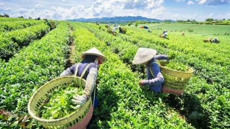 Cwin com sòng bạc trực tuyến chè quý I: Lượng và trị giá giảm, đơn giá bình quân tăng