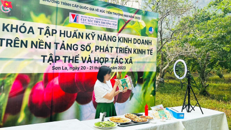 Tập huấn, hỗ trợ Cwincom hiện đang mở, hợp tác xã tỉnh Sơn La kinh doanh trên nền tảng số