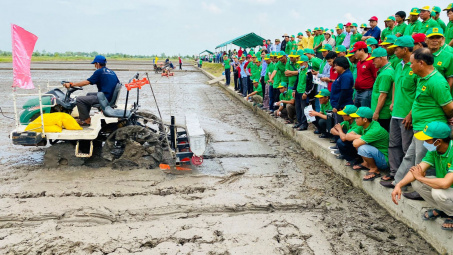 Cơ giới hóa gieo sạ chính xác, hỗ trợ Nền tảng hàng đầu cung cấp Cwin com lúa chất lượng cao