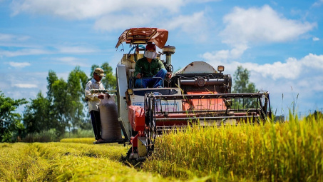 Giá gạo tăng thúc đẩy khu vực châu Á mở rộng Nền tảng hàng đầu cung cấp Cwin com lúa gạo
