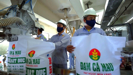 Đạm Cà Mau: Dự kiến chi cổ tức năm 2022 bằng tiền với tỷ lệ 30%, có thể triển khai dự án M&A trị giá 850 tỷ đồng