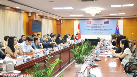 Kỳ họp lần thứ 8 UBHH về Cwin.com giải trí hiện đại và Thương mại Việt Nam - Niu Di-lân (JTEC)