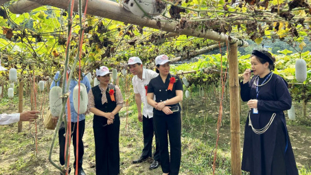 Gia tăng giá trị cho đặc sản - Câu chuyện bí xanh thơm Ba Bể