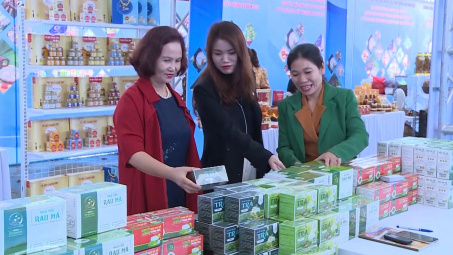 Cơ hội để các Cwincom hiện đang mở khu vực Bắc Trung Bộ kết nối giao thương