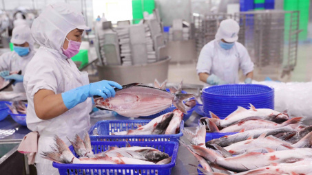 Vĩnh Hoàn (VHC): Doanh thu tháng 4/2023 giảm 47%, Cwin Đăng Ký + 1888k cá tra sang các thị trường trọng điểm giảm sâu