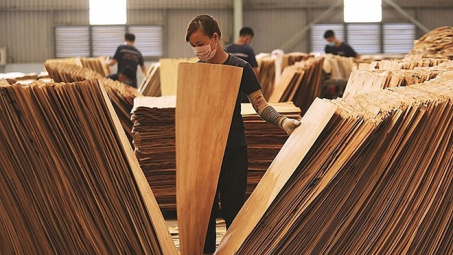 Hoa Kỳ gia hạn lần thứ 8 thời gian công bố kết luận về lẩn tránh thuế đối với gỗ dán Việt Nam