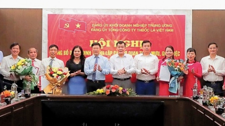 Thành lập các cơ quan tham mưu, giúp việc của CWIN được cấp phép hợp pháp bởi PAGCOR và Freeport Tổng công ty Thuốc lá Việt Nam