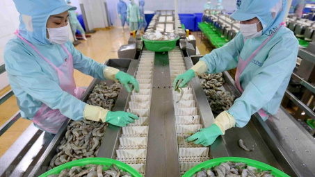 Thủy sản Minh Phú sẽ hợp tác với cơ quan nghiên cứu Cwin com đăng nhập Úc xây dựng trung tâm nghiên cứu tôm
