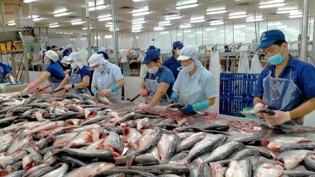 Thuỷ sản Nam Việt: Dự kiến lợi nhuận năm nay giảm 35%, chia cổ tức bằng tiền với tỷ lệ 10%