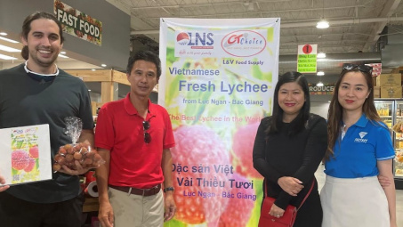 Vải thiều tươi Việt Nam đã có mặt tại thị trường Hoa Kỳ