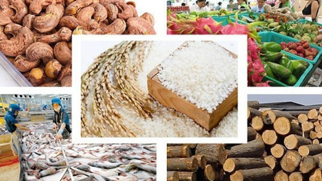 Một số tác động của thực thi Hiệp định Thương mại tự do EU - Việt Nam (EVFTA) đối với nông sản Cwin Đăng Ký + 1888k