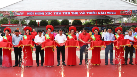 Vải thiều Bắc Giang chính thức lên kệ hệ thống siêu thị Central retail