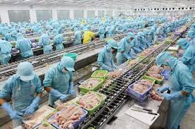 Nghiên cứu các nhân tố ảnh hưởng đến cấu trúc vốn của các công ty trong ngành Thủy sản niêm yết trên thị trường chứng khoán Việt Nam