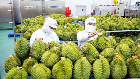 Cửa vào Trung Quốc đã mở, nông sản Việt chạy đua khai thác thị trường