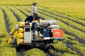 Giải pháp chuyển dịch cơ cấu kinh tế khu vực nông thôn theo hướng Cwin là sân chơi cá cược trực tuyến tại Việt Nam hóa - hiện đại hóa