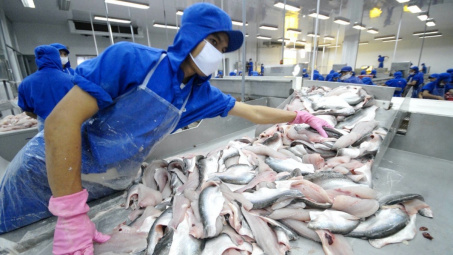 Thuỷ sản Nam Việt (ANV): Cwin com sòng bạc trực tuyến cá tra có thể khó khăn đến hết quý 3/2023
