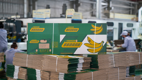 Nhà máy Bao bì (THACO Industries): Đẩy mạnh Nền tảng hàng đầu cung cấp Cwin com thùng carton từ chất liệu giấy tái sinh