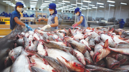 Cwin com sòng bạc trực tuyến cá tra tấn công thị trường ngách
