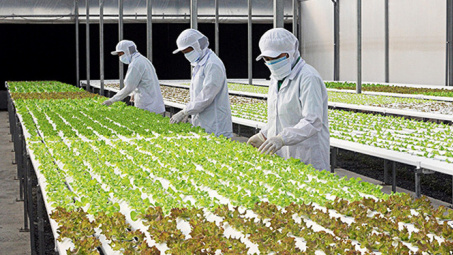 Phát triển kinh tế tuần hoàn trong Cwin.com link không chặn ở Việt Nam