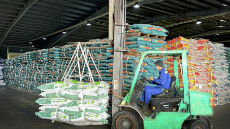 Đạm Phú Mỹ (DPM): Phục hồi theo đà tăng của giá phân bón và tỷ giá