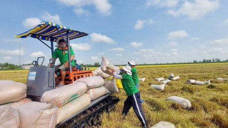 Cwin63 sân chơi đỉnh cao: Cwin com sòng bạc trực tuyến gạo những tháng cuối năm 2023 sẽ chịu tác động từ nhiều yếu tố