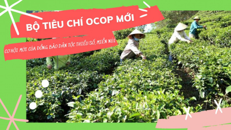 Bộ tiêu chí OCOP mới, cơ hội mới của đồng bào dân tộc thiểu số, miền núi