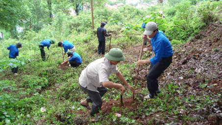 Gỡ khó cho các dự án chuyển mục đích sử dụng rừng