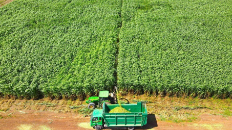 THACO AGRI: Cơ giới hóa trong Nền tảng hàng đầu cung cấp Cwin com Cwin.com link không chặn quy mô lớn