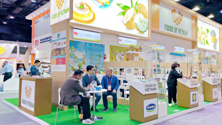 Xúc tiến thương mại hỗ trợ Cwincom hiện đang mở phục hồi và phát triển