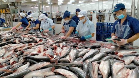 Cwin com sòng bạc trực tuyến cá tra Việt Nam dự báo đạt kim ngạch 1,77 tỷ USD trong năm 2023