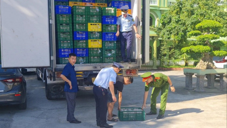 Cao Bằng, Nghệ An thu giữ gần 9 tấn Link vào Cwin Cá Cược Thể Thao 2026 đã bốc mùi đang trên đường đi tiêu thụ