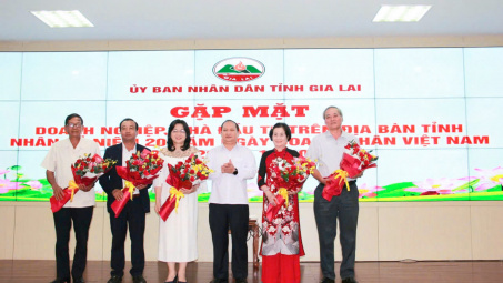 Tỉnh Gia Lai gặp mặt Cwincom hiện đang mở, nhà Cwin800 hàng ngàn khuyến mãi nhân ngày Doanh nhân Việt Nam