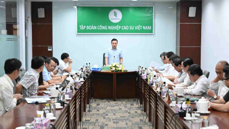 Cao su Việt Nam (GVR) kiến nghị xem xét chủ trương Cwin800 hàng ngàn khuyến mãi các khu Cwin là sân chơi cá cược trực tuyến tại Việt Nam vùng Đông Nam Bộ